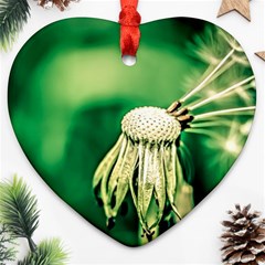 Dandelion Flower Green Chief Heart Ornament (two Sides) by FunnyCow