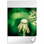 Dandelion Flower Green Chief Canvas 12  x 18   11.88 x17.36  Canvas - 1