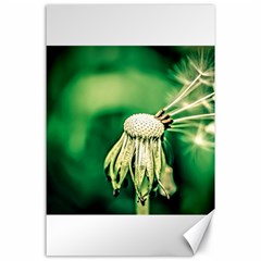 Dandelion Flower Green Chief Canvas 24  X 36  by FunnyCow