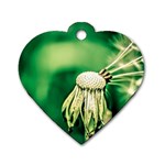 Dandelion Flower Green Chief Dog Tag Heart (One Side) Front