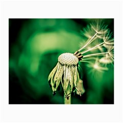 Dandelion Flower Green Chief Small Glasses Cloth (2-side) by FunnyCow