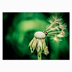 Dandelion Flower Green Chief Large Glasses Cloth (2-side) by FunnyCow