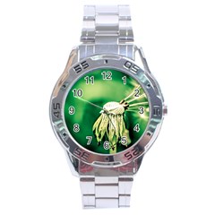 Dandelion Flower Green Chief Stainless Steel Analogue Watch by FunnyCow