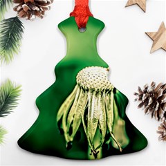 Dandelion Flower Green Chief Ornament (christmas Tree)  by FunnyCow