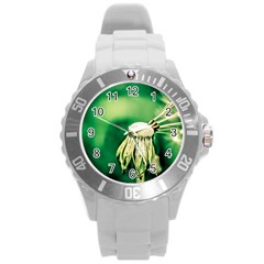 Dandelion Flower Green Chief Round Plastic Sport Watch (l) by FunnyCow