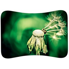 Dandelion Flower Green Chief Velour Seat Head Rest Cushion by FunnyCow