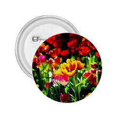 Colorful Tulips On A Sunny Day 2 25  Buttons by FunnyCow