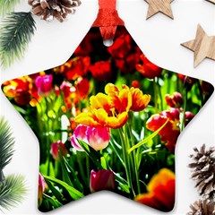 Colorful Tulips On A Sunny Day Ornament (star) by FunnyCow