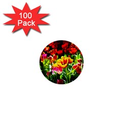 Colorful Tulips On A Sunny Day 1  Mini Magnets (100 Pack)  by FunnyCow