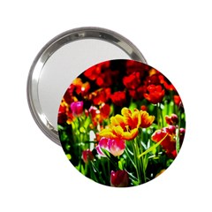 Colorful Tulips On A Sunny Day 2 25  Handbag Mirrors by FunnyCow