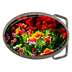 Colorful Tulips On A Sunny Day Belt Buckles by FunnyCow