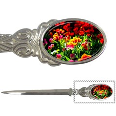 Colorful Tulips On A Sunny Day Letter Opener by FunnyCow