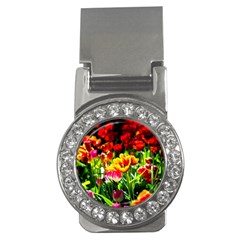 Colorful Tulips On A Sunny Day Money Clips (cz)  by FunnyCow