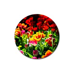 Colorful Tulips On A Sunny Day Magnet 3  (round) by FunnyCow