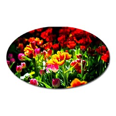 Colorful Tulips On A Sunny Day Oval Magnet by FunnyCow