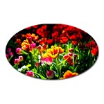 Colorful Tulips On A Sunny Day Oval Magnet Front