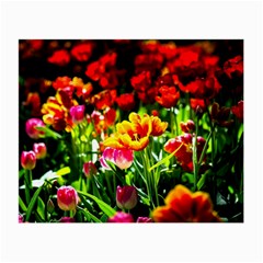 Colorful Tulips On A Sunny Day Small Glasses Cloth by FunnyCow