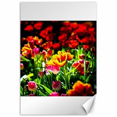 Colorful Tulips On A Sunny Day Canvas 20  X 30   by FunnyCow