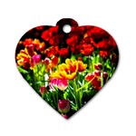 Colorful Tulips On A Sunny Day Dog Tag Heart (Two Sides) Back