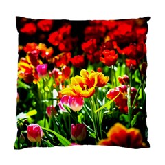 Colorful Tulips On A Sunny Day Standard Cushion Case (two Sides) by FunnyCow