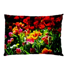 Colorful Tulips On A Sunny Day Pillow Case by FunnyCow