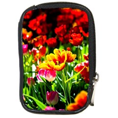 Colorful Tulips On A Sunny Day Compact Camera Cases by FunnyCow