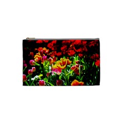 Colorful Tulips On A Sunny Day Cosmetic Bag (small) by FunnyCow