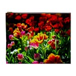 Colorful Tulips On A Sunny Day Cosmetic Bag (XL) Front