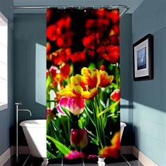 Colorful Tulips On A Sunny Day Shower Curtain 36  X 72  (stall)  by FunnyCow