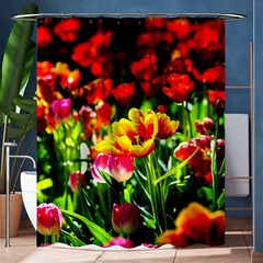 Colorful Tulips On A Sunny Day Shower Curtain 60  X 72  (medium)  by FunnyCow