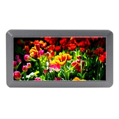 Colorful Tulips On A Sunny Day Memory Card Reader (mini) by FunnyCow