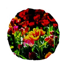 Colorful Tulips On A Sunny Day Standard 15  Premium Round Cushions by FunnyCow