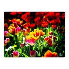 Colorful Tulips On A Sunny Day Double Sided Flano Blanket (mini)  by FunnyCow