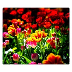 Colorful Tulips On A Sunny Day Double Sided Flano Blanket (small)  by FunnyCow