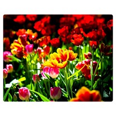 Colorful Tulips On A Sunny Day Double Sided Flano Blanket (medium)  by FunnyCow