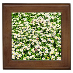 Green Field Of White Daisy Flowers Framed Tiles by FunnyCow