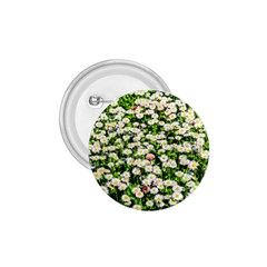 Green Field Of White Daisy Flowers 1 75  Buttons by FunnyCow