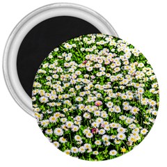 Green Field Of White Daisy Flowers 3  Magnets by FunnyCow