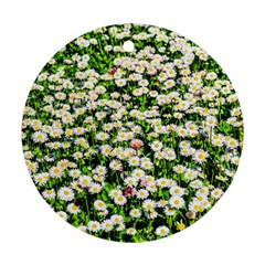 Green Field Of White Daisy Flowers Ornament (round) by FunnyCow