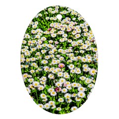 Green Field Of White Daisy Flowers Ornament (oval) by FunnyCow