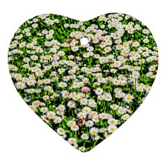 Green Field Of White Daisy Flowers Ornament (heart) by FunnyCow