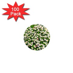 Green Field Of White Daisy Flowers 1  Mini Magnets (100 Pack)  by FunnyCow