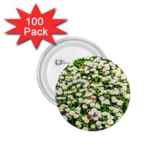 Green Field Of White Daisy Flowers 1 75  Buttons (100 Pack)  by FunnyCow