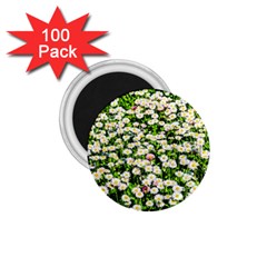 Green Field Of White Daisy Flowers 1 75  Magnets (100 Pack)  by FunnyCow