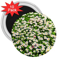 Green Field Of White Daisy Flowers 3  Magnets (10 Pack)  by FunnyCow