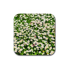 Green Field Of White Daisy Flowers Rubber Coaster (square)  by FunnyCow