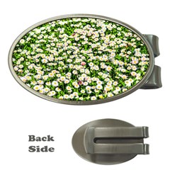 Green Field Of White Daisy Flowers Money Clips (oval)  by FunnyCow