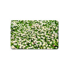 Green Field Of White Daisy Flowers Magnet (name Card) by FunnyCow