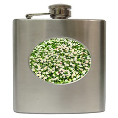 Green Field Of White Daisy Flowers Hip Flask (6 Oz) by FunnyCow