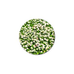 Green Field Of White Daisy Flowers Golf Ball Marker (4 Pack) by FunnyCow